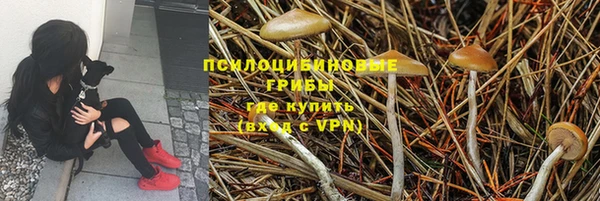 мескалин Балахна