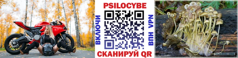 Псилоцибиновые грибы мицелий  где найти наркотики  Вязники 